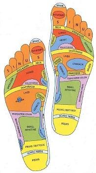 Two feet showing reflexology points
